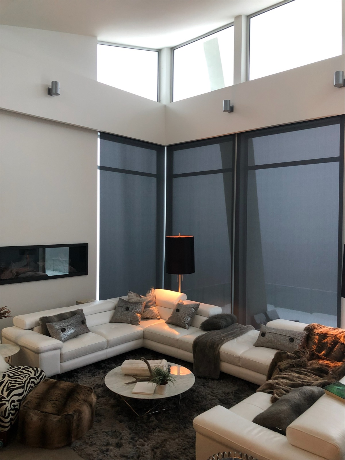 Smart Home Integration Shades
