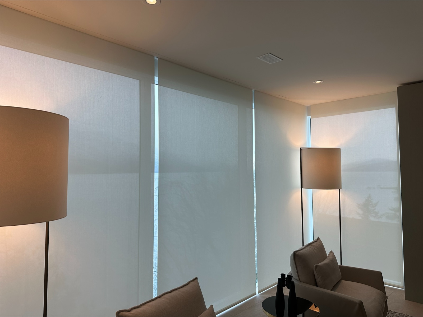 Crestron Shades Style and Sophistication